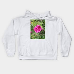 Deep pink roses on a shrub. Kids Hoodie